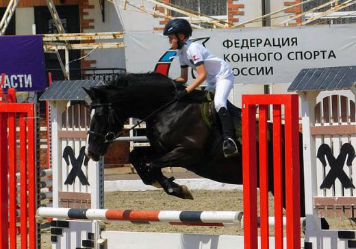 На манеже «Георгенбурга» прошел IV турнир на Кубок Регионального отделения ДОСААФ по конному спорту