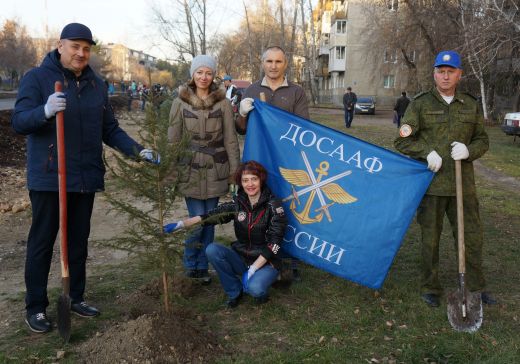 «Посади дерево»