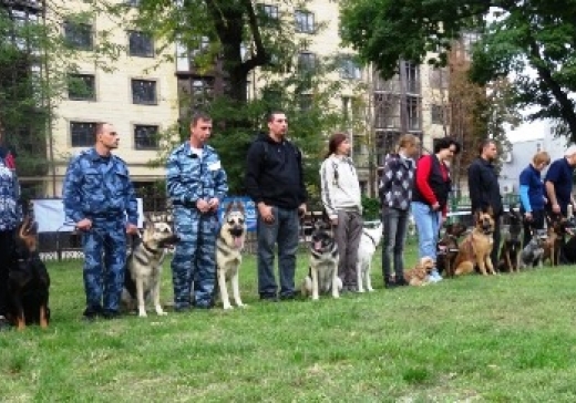 Самарские досаафовцы вносят существенный вклад в подготовку призывников