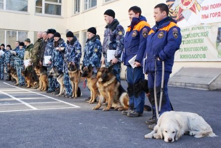 Искали собаки наркотики в машинах школы ДОСААФ…