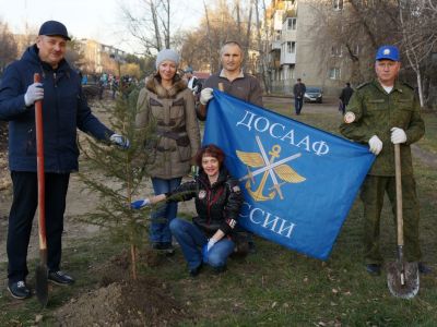 «Посади дерево»