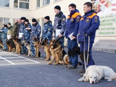 Искали собаки наркотики в машинах школы ДОСААФ…