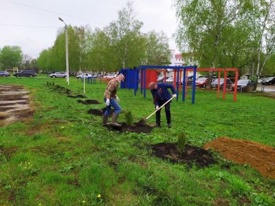 Досаафовцы Мордовии посадили «Сад Памяти»