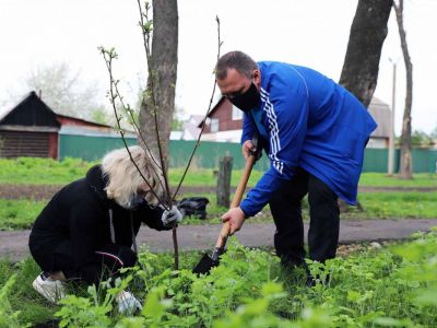 В Моршанске о героях войны будет напоминать аллея плодовых деревьев